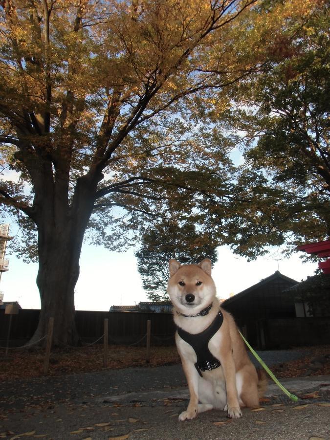 Kanazawa Share House Gaooo Exterior photo